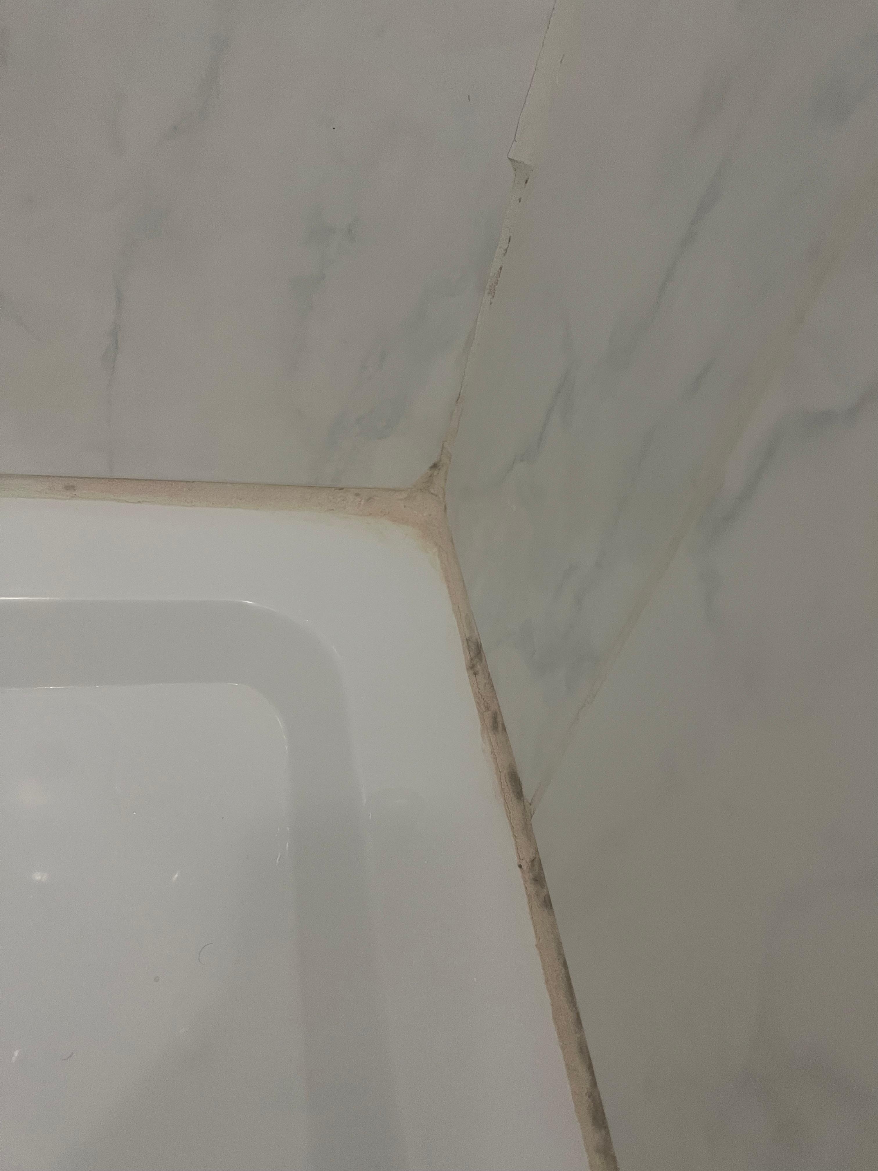 red (and black?) mold in shower corner