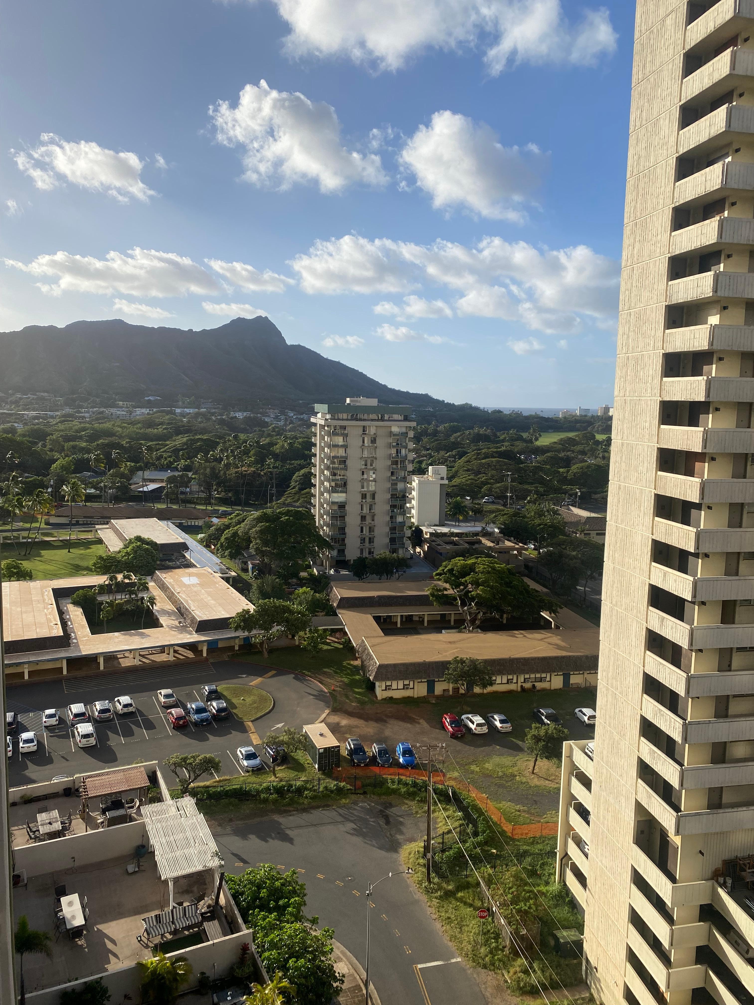 部屋から見えた景色です