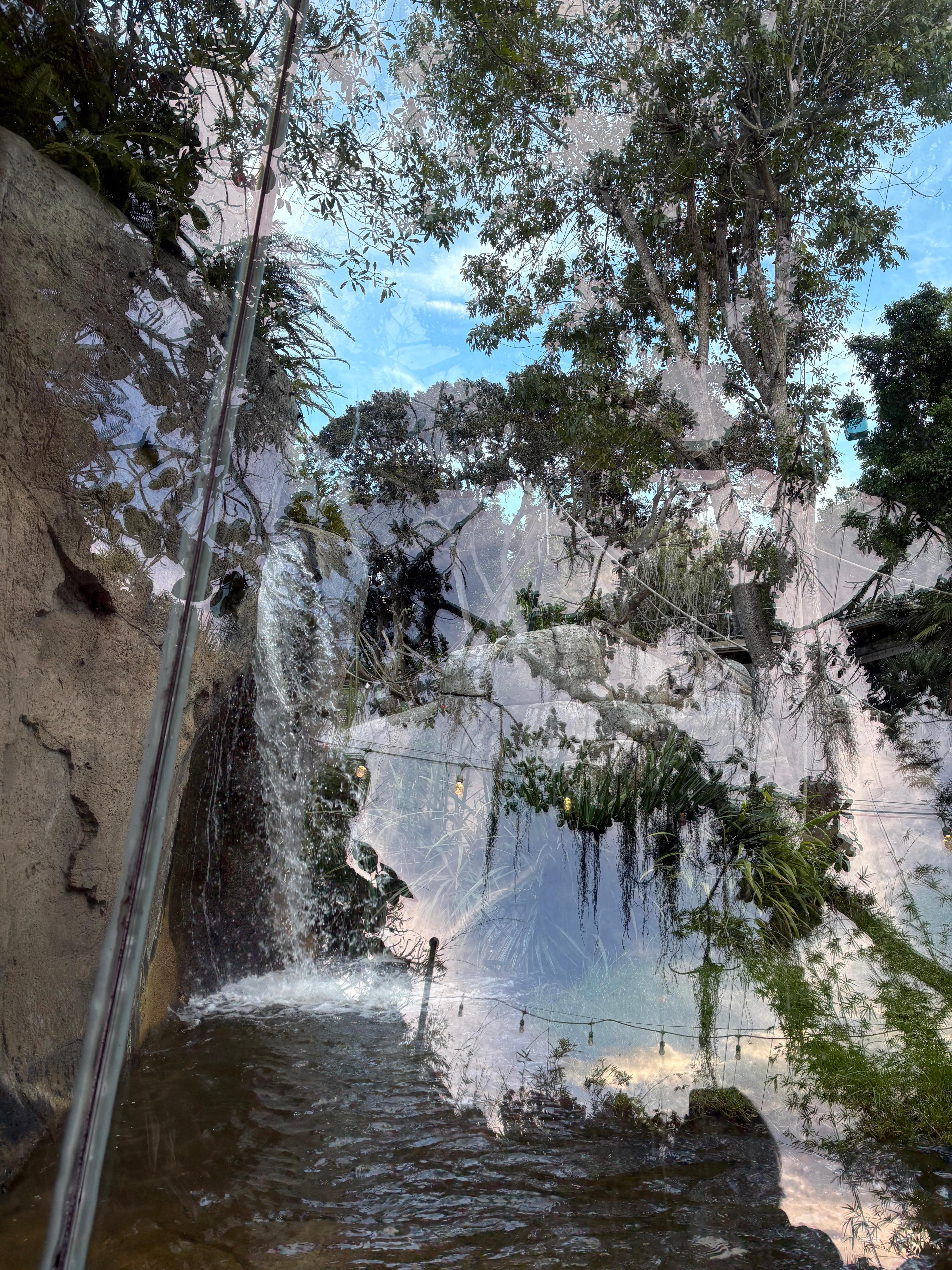 San Diego in the early morning fog.