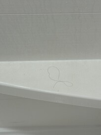 This is from the second room I got. Hair left behind in the shower.