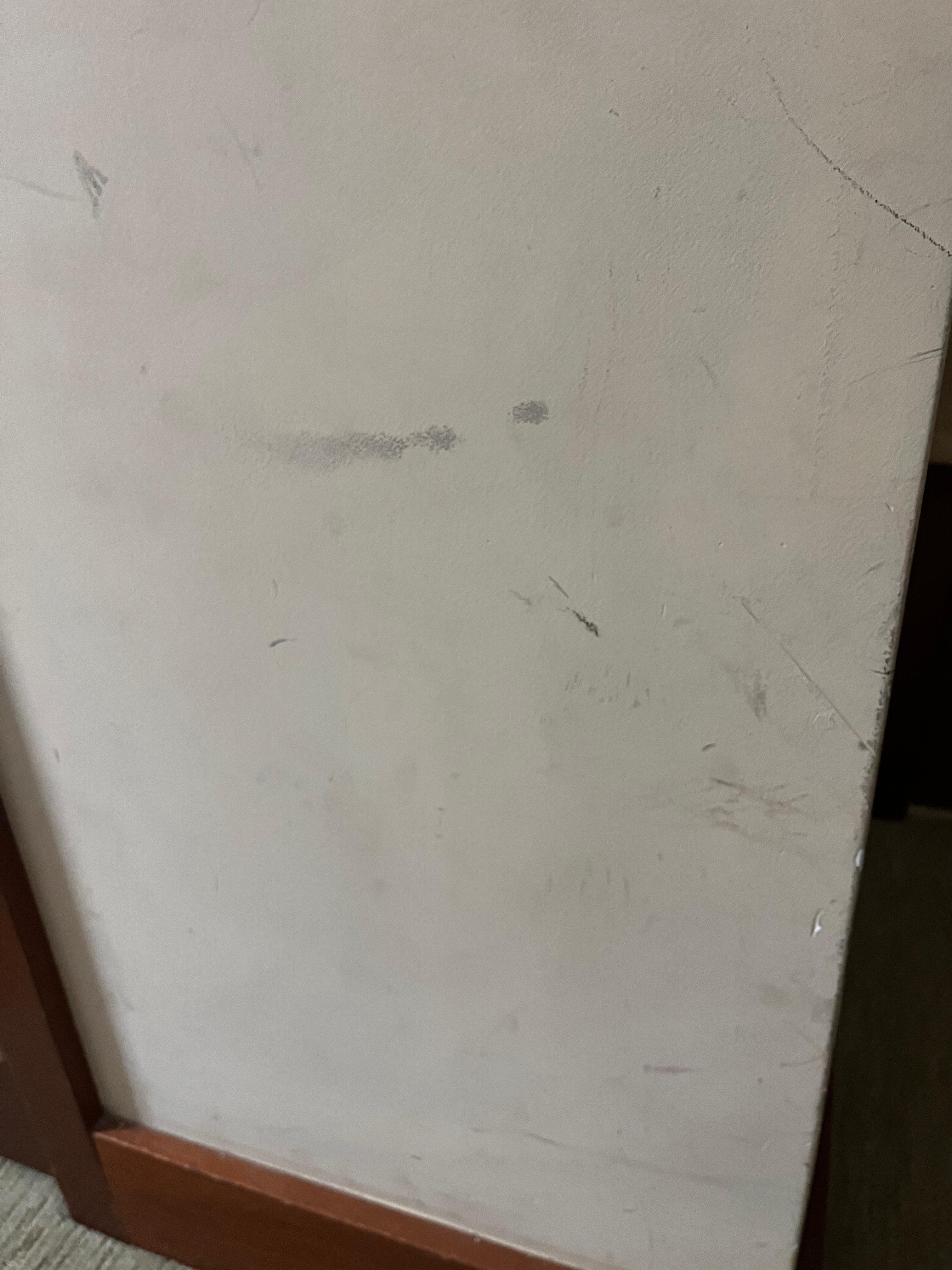 Dirty and scuffed walls in the guest bedroom, in need of re-paint. PM said it would be hard to repaint since place is booked all year. 