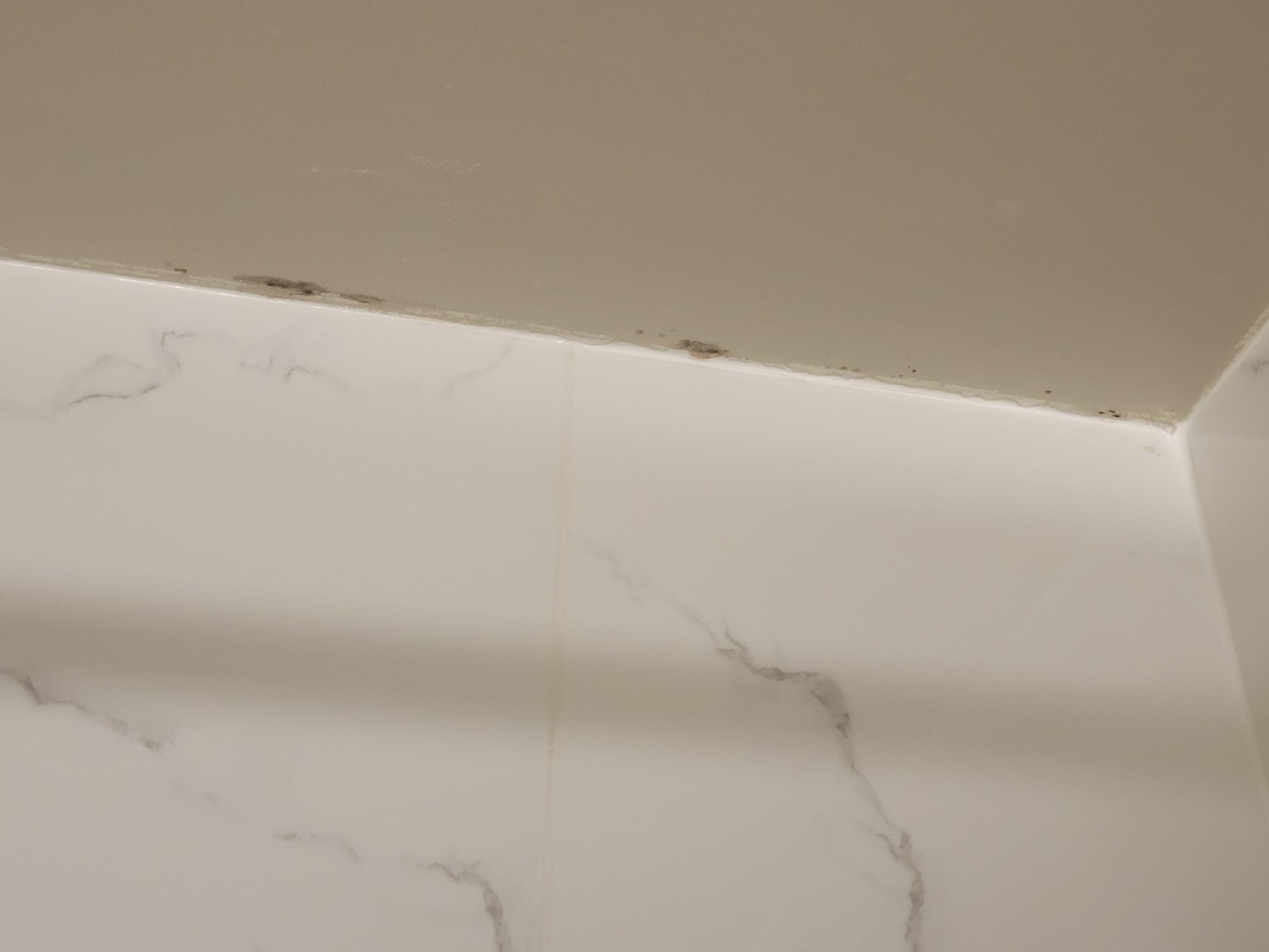 This is mold spots on the ceiling in the bathroom