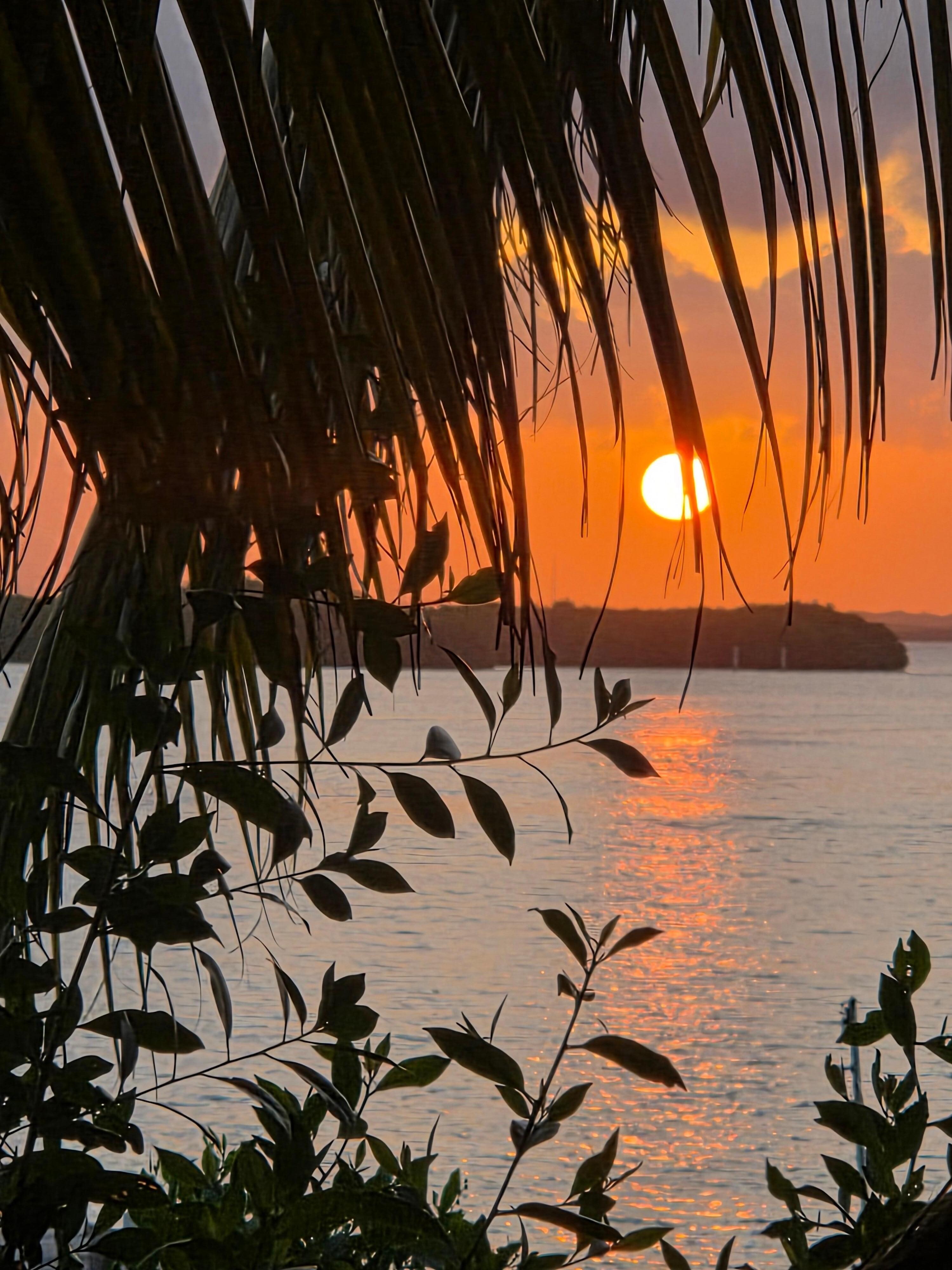 Sunset from 19.5km restaurant across the street, lagoon side.