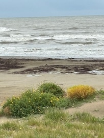 Natural dunes with wildlife (bunnies love the dunes and outdoor shower) we saw them every day.