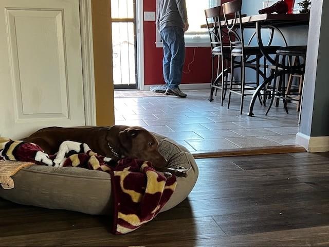 She easily made herself at home.