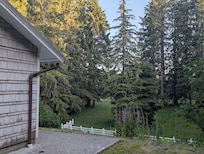 View of the backyard