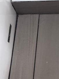 Hair on floor