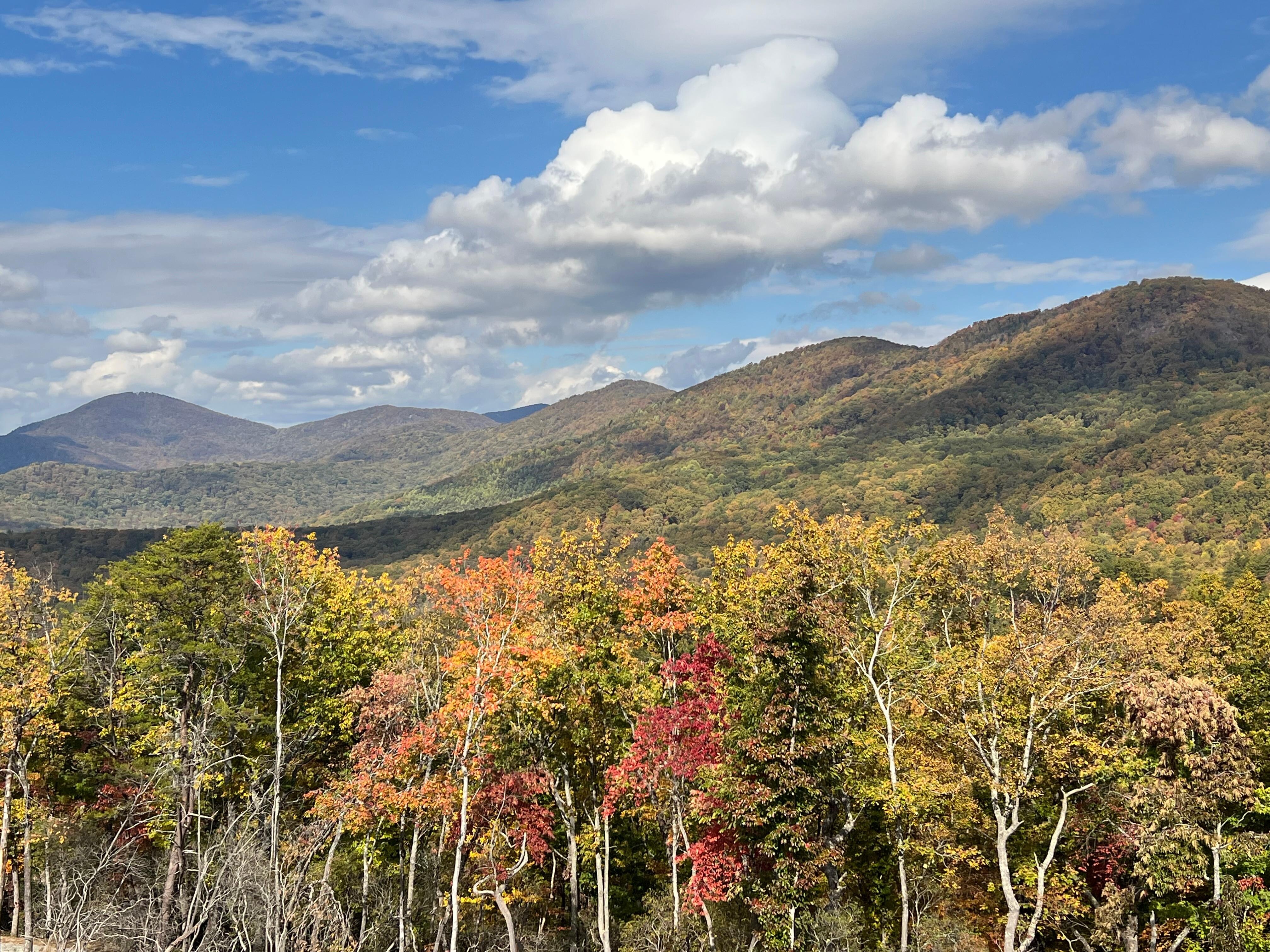 View from main level 