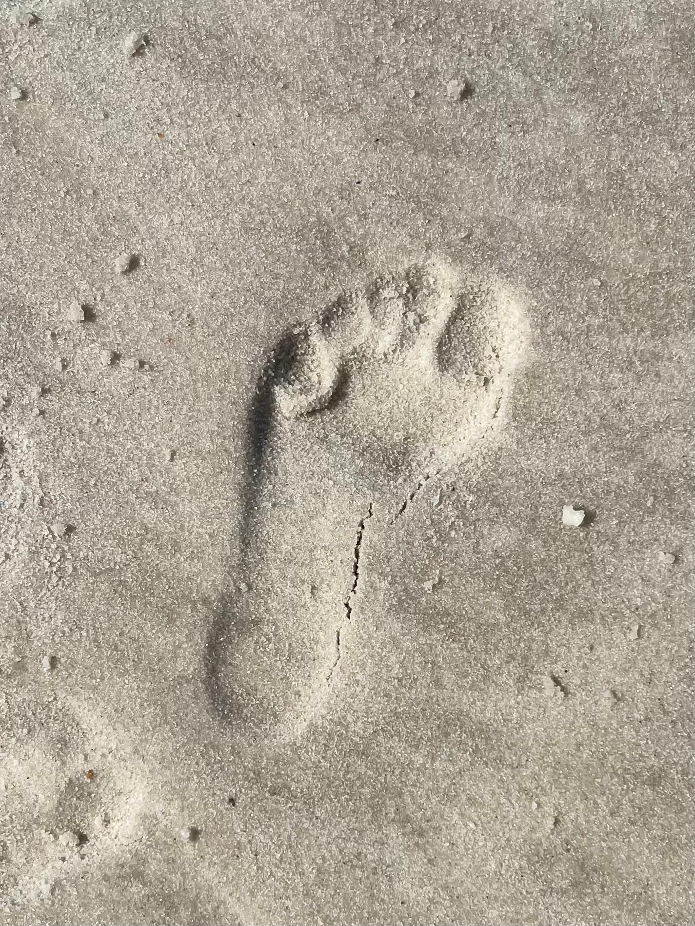 Tiny footprint in the sand. 