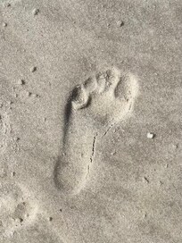 Tiny footprint in the sand.