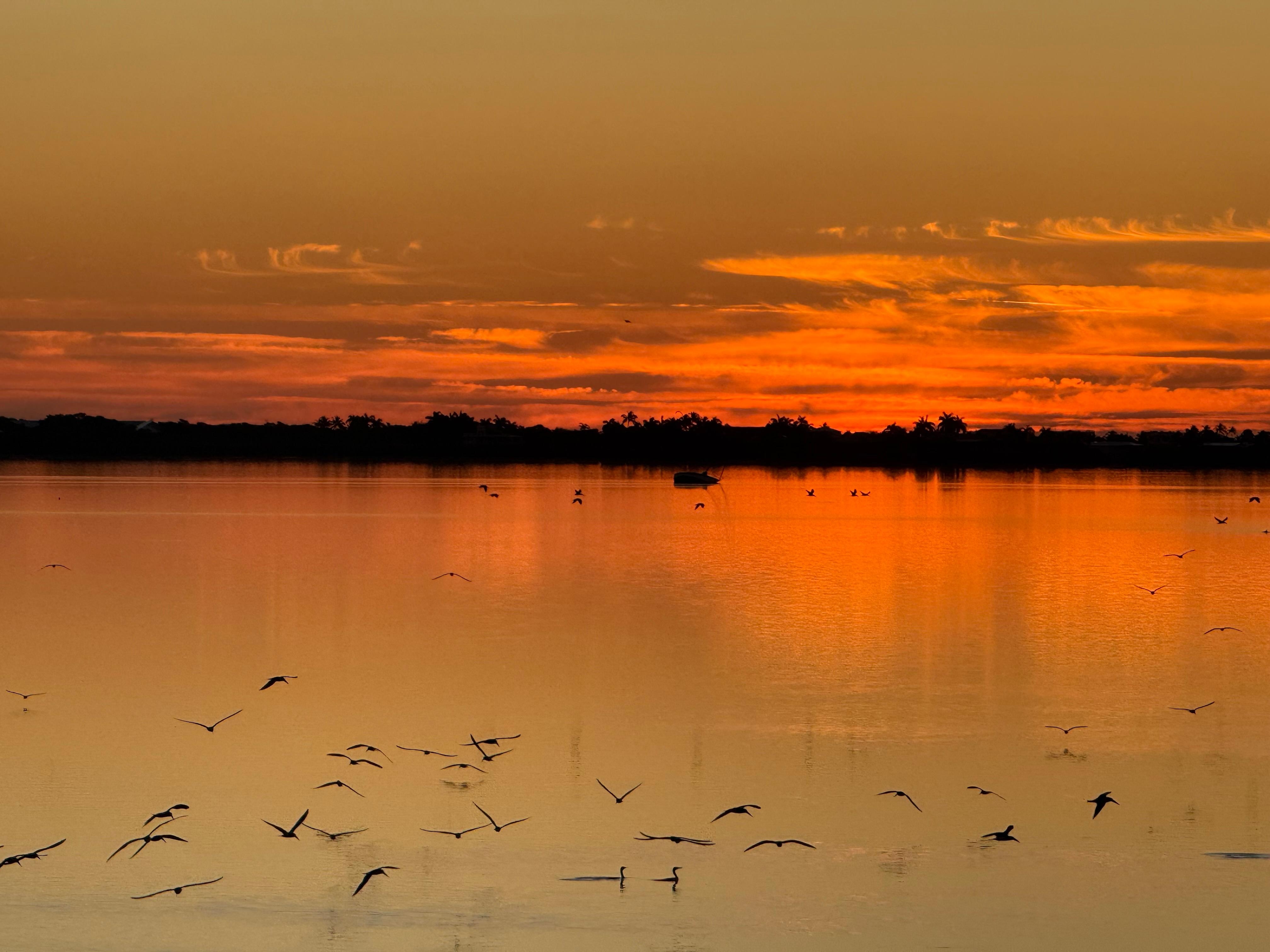 Sunrise viewed from the deck.