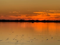 Sunrise viewed from the deck.