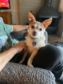 Mel