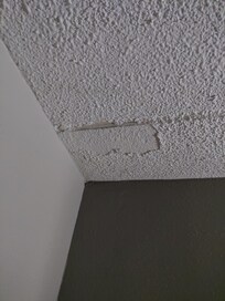 Poorly finish ceiling repair