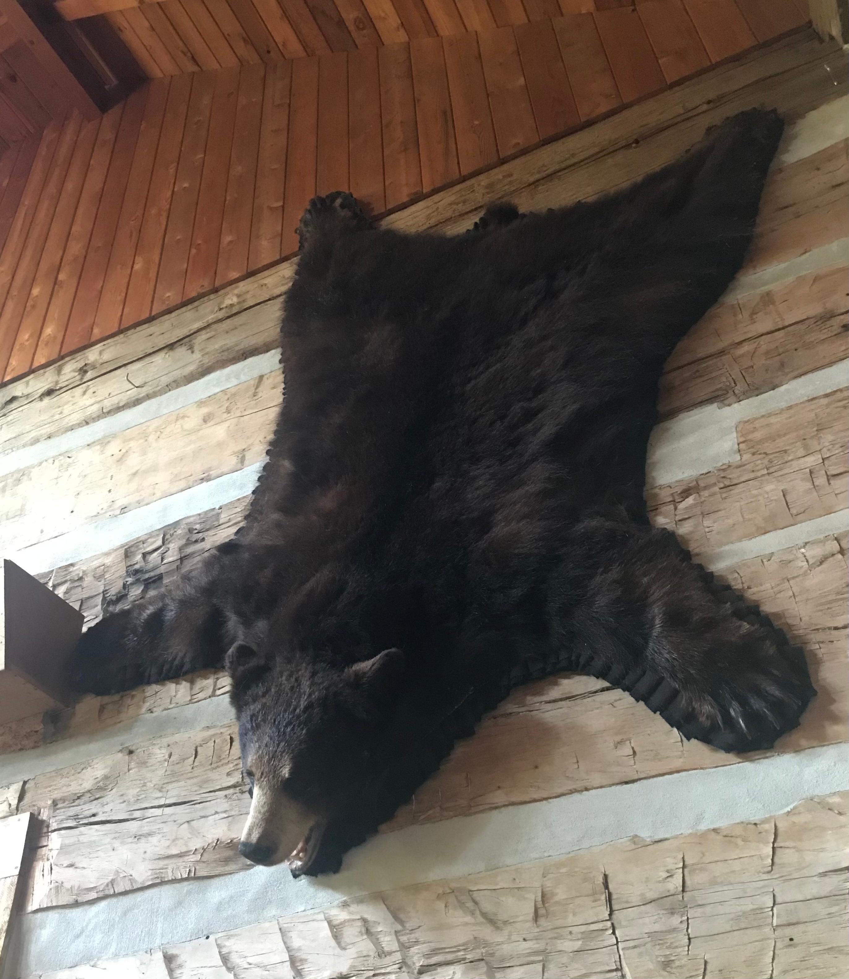 In the living room area, cabin feel decorated 💕