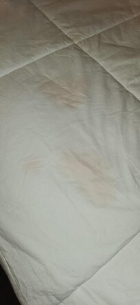 Stains / other fluids