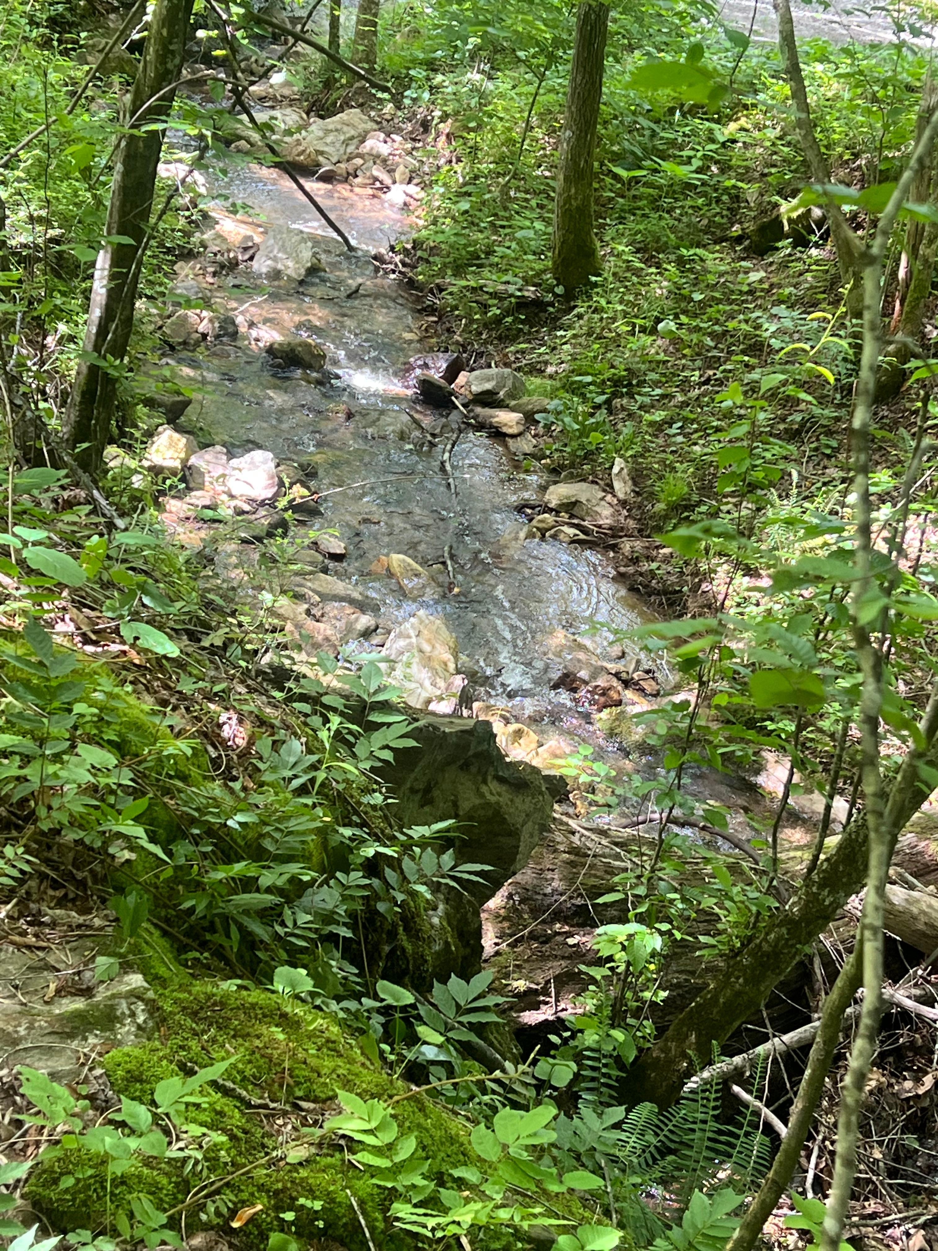 Waterfall right off the side of cabin 