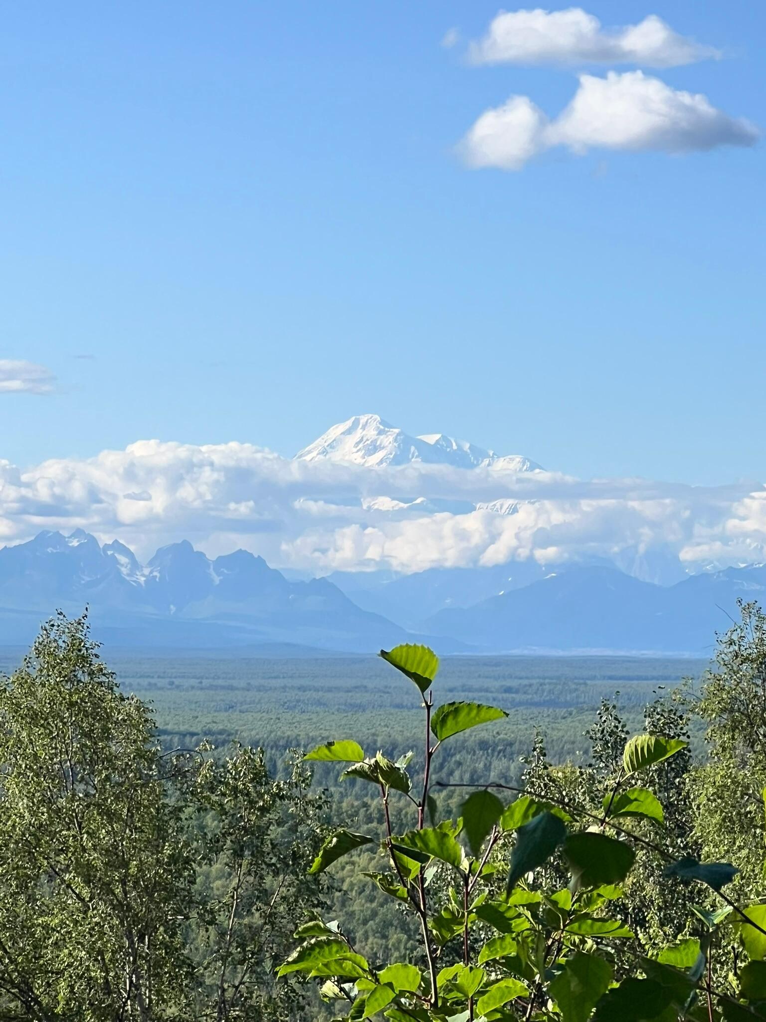 View of Denali