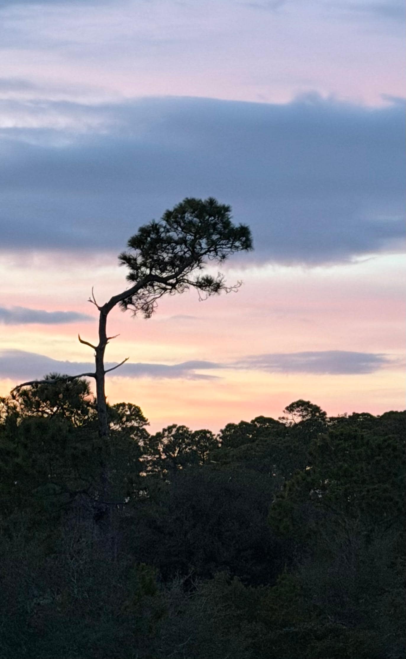 Sunset from the back deck.