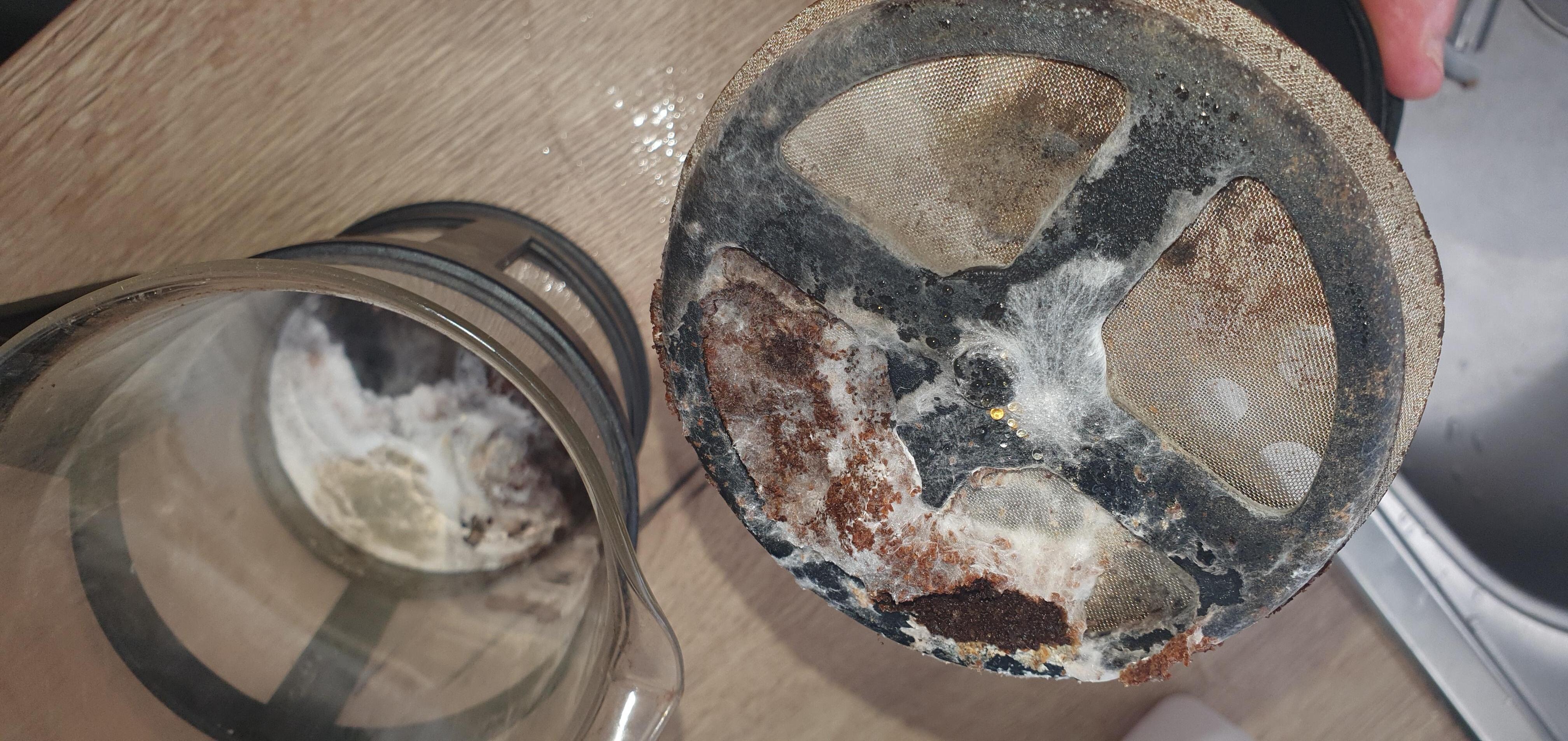 Mould covered coffee maker