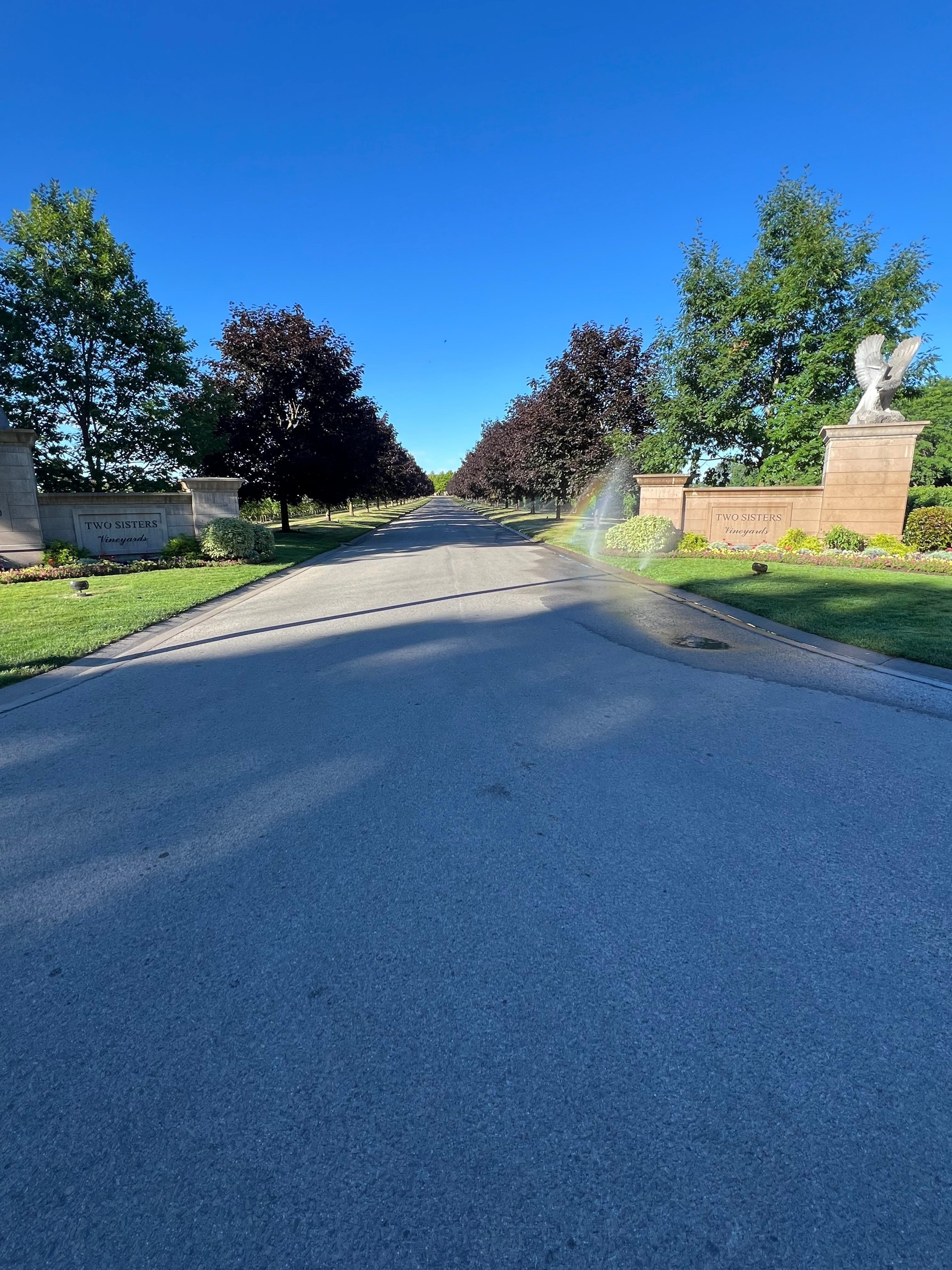 Long beautiful driveway in and out of property 