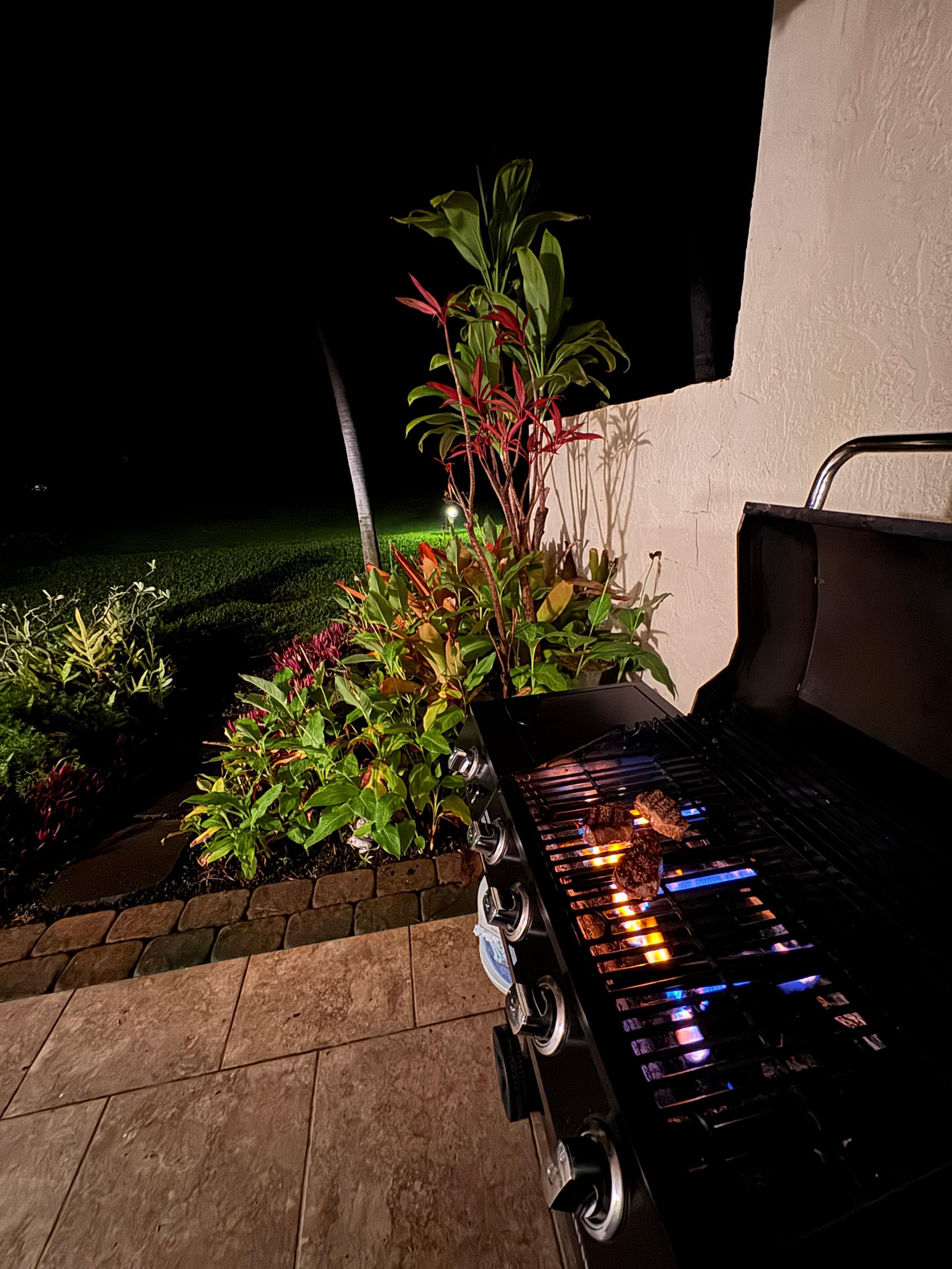 Peaceful grilling!