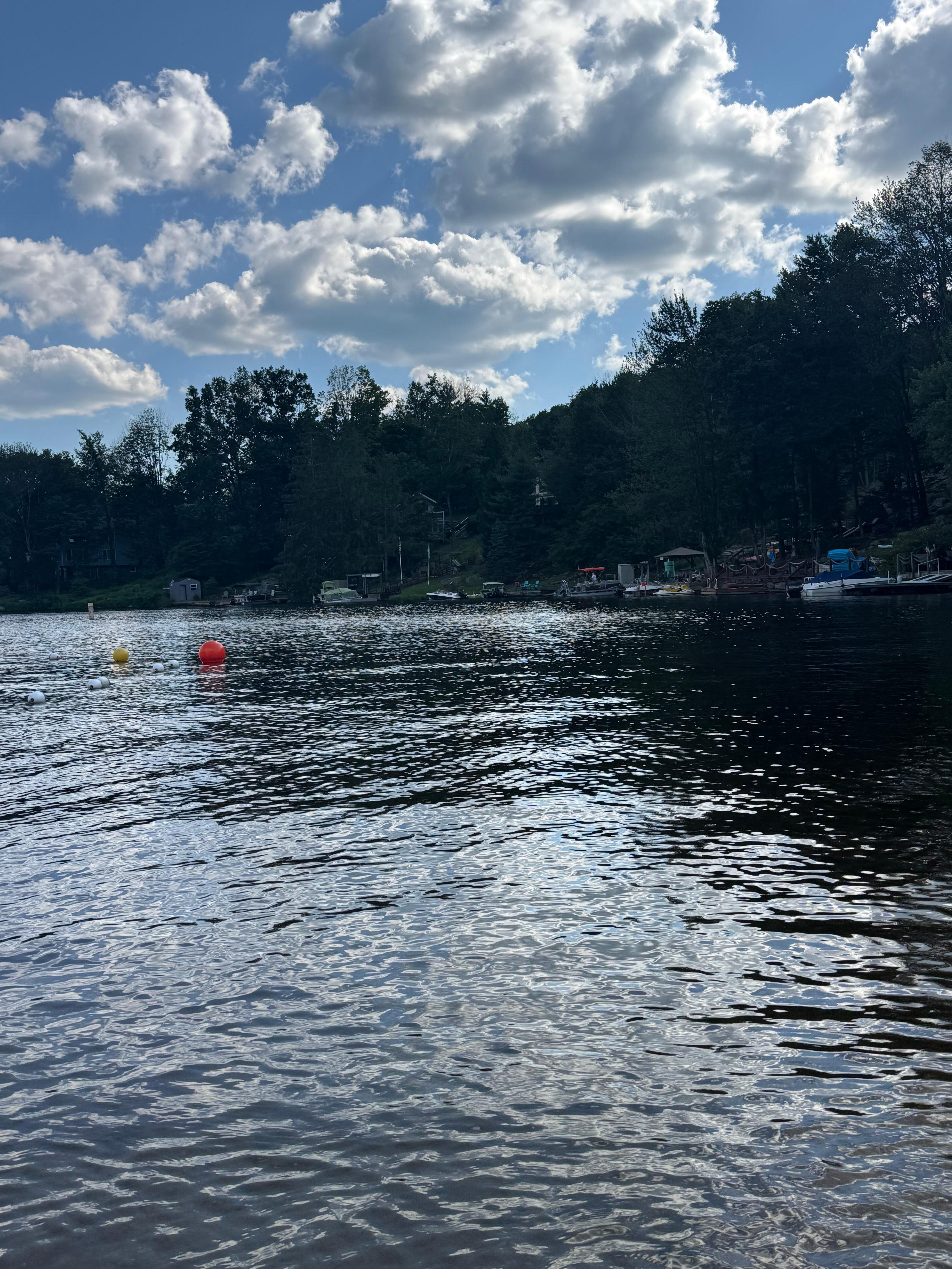 Looking over the lake