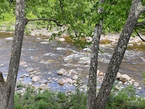 The lovely view from the deck.
We all loved listening to the sound of the River.