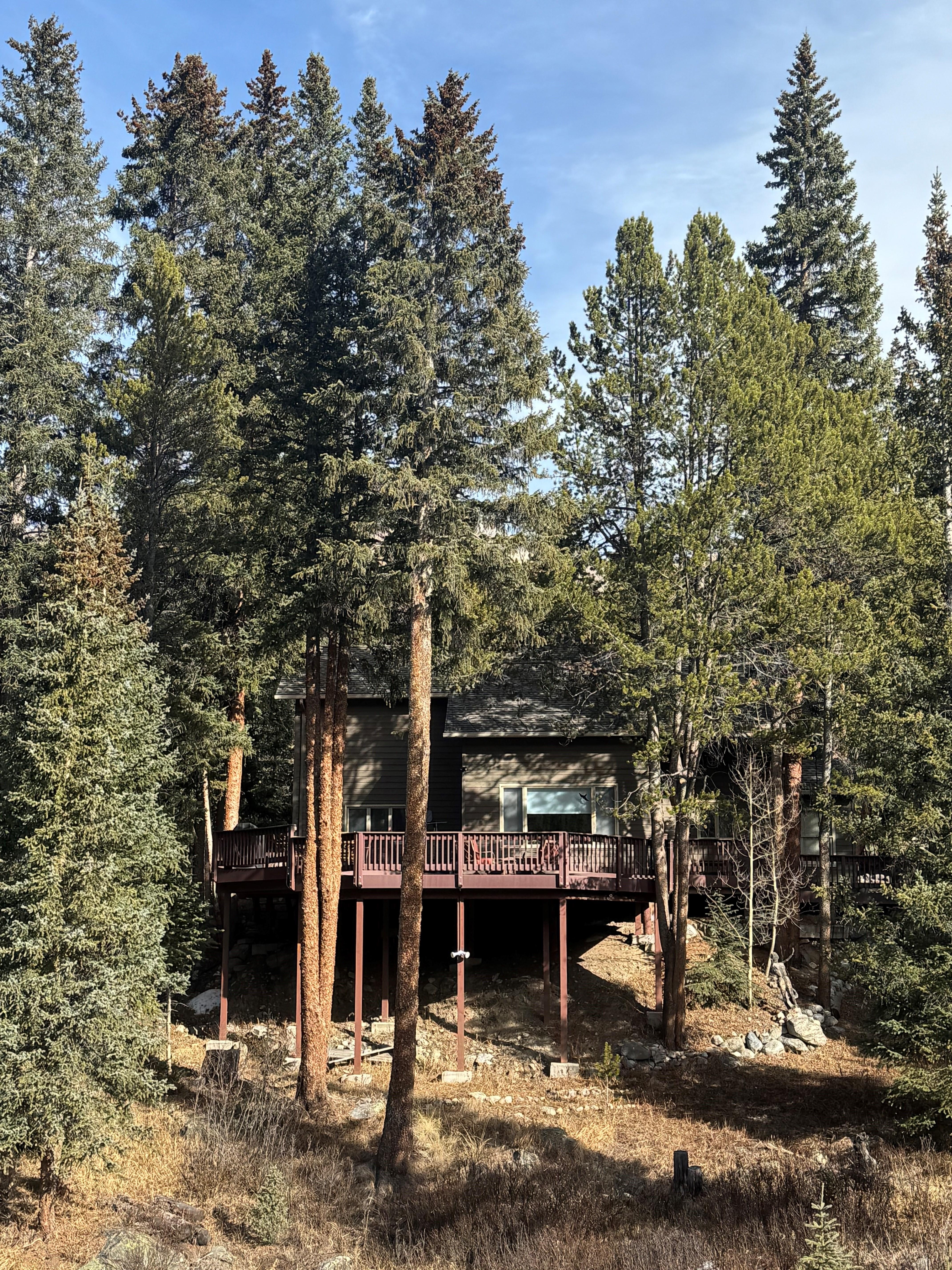 The cabin from across the stream