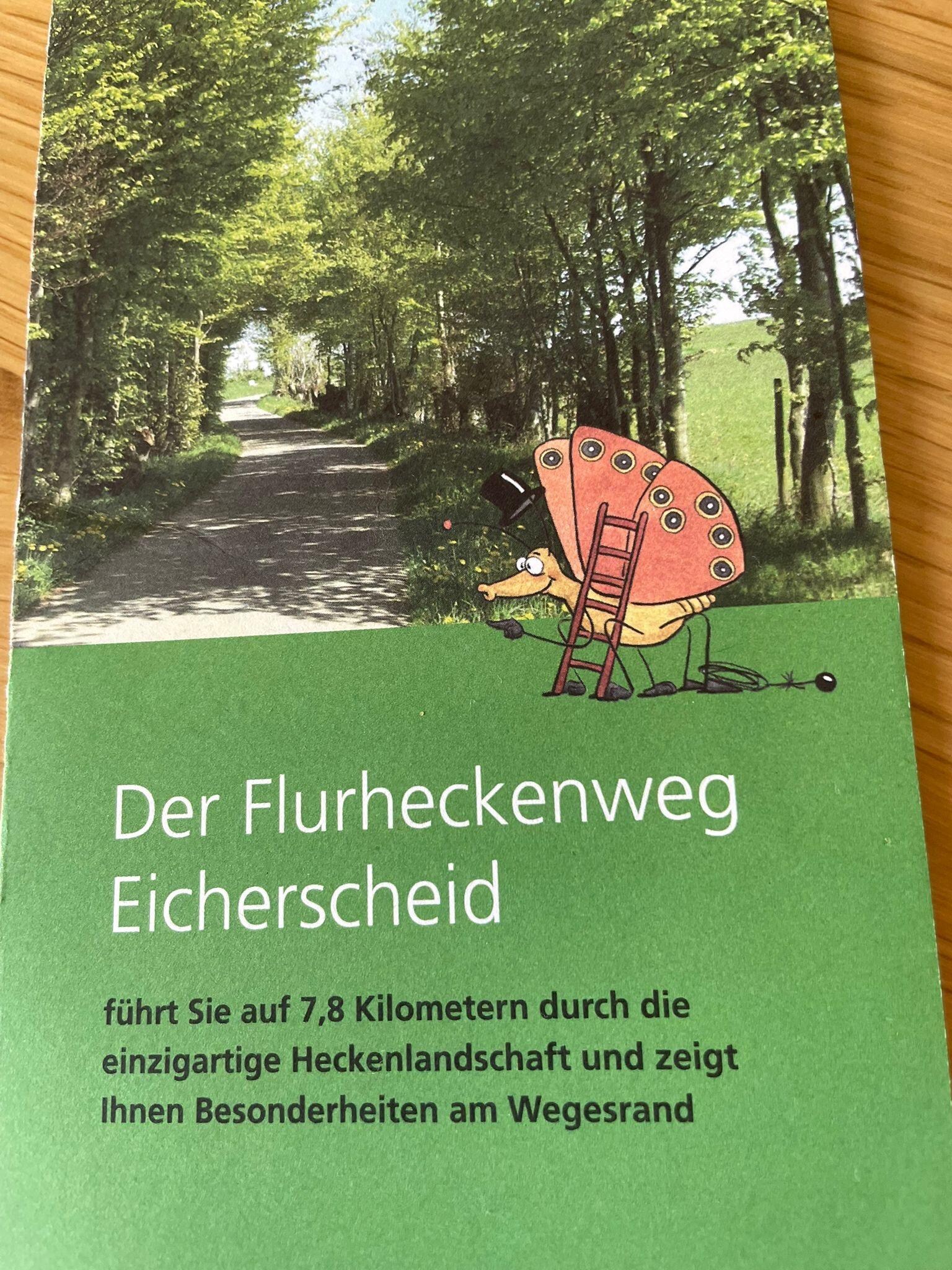 Diese Wanderung ist einfach super gut.