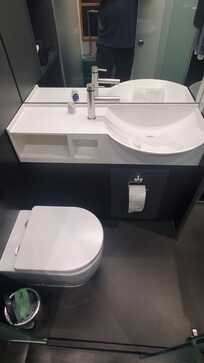 Sink and Toilet