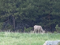 Rocky Mountain National Park