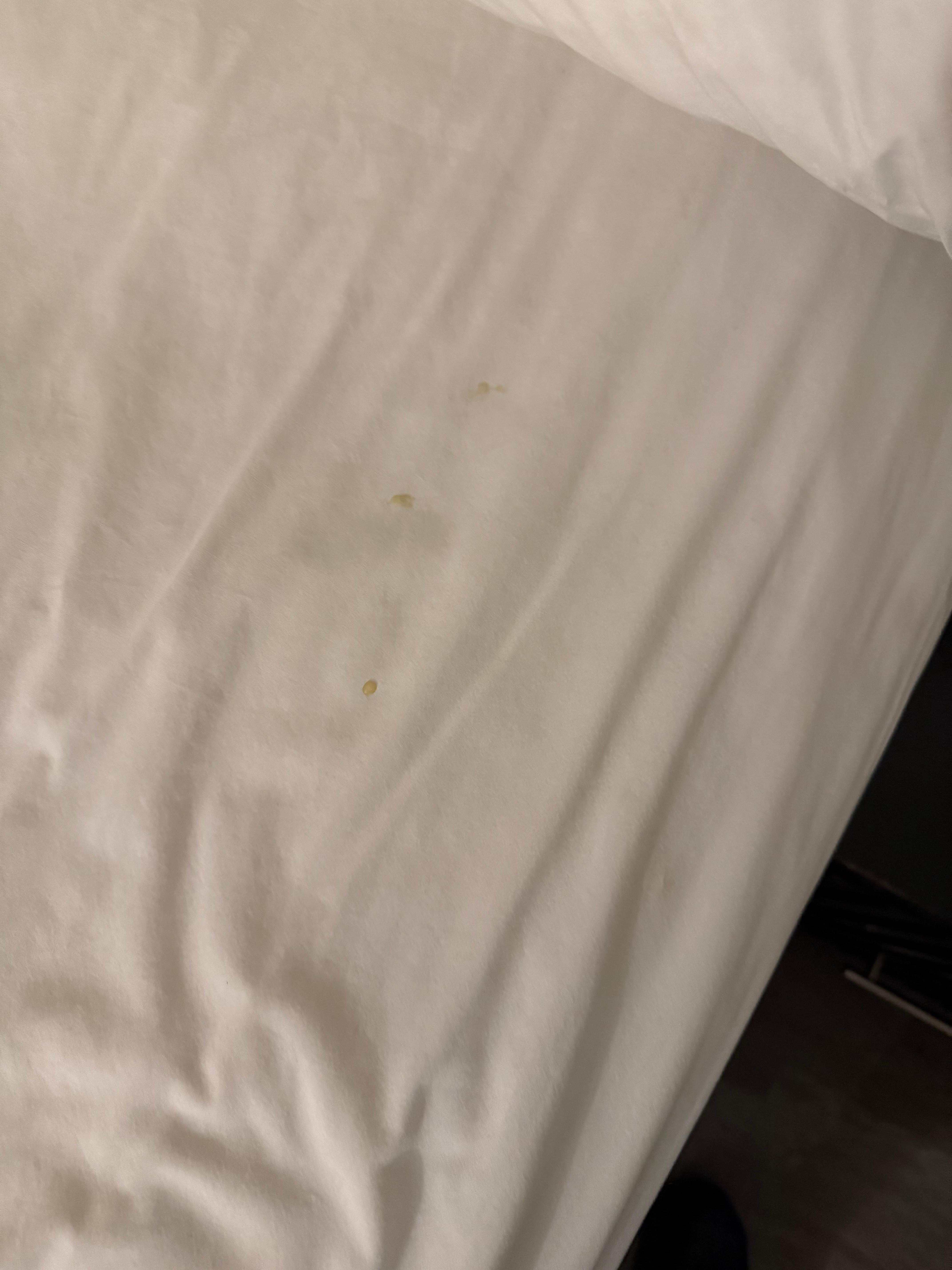 What appears to be wax from a candle on sheet