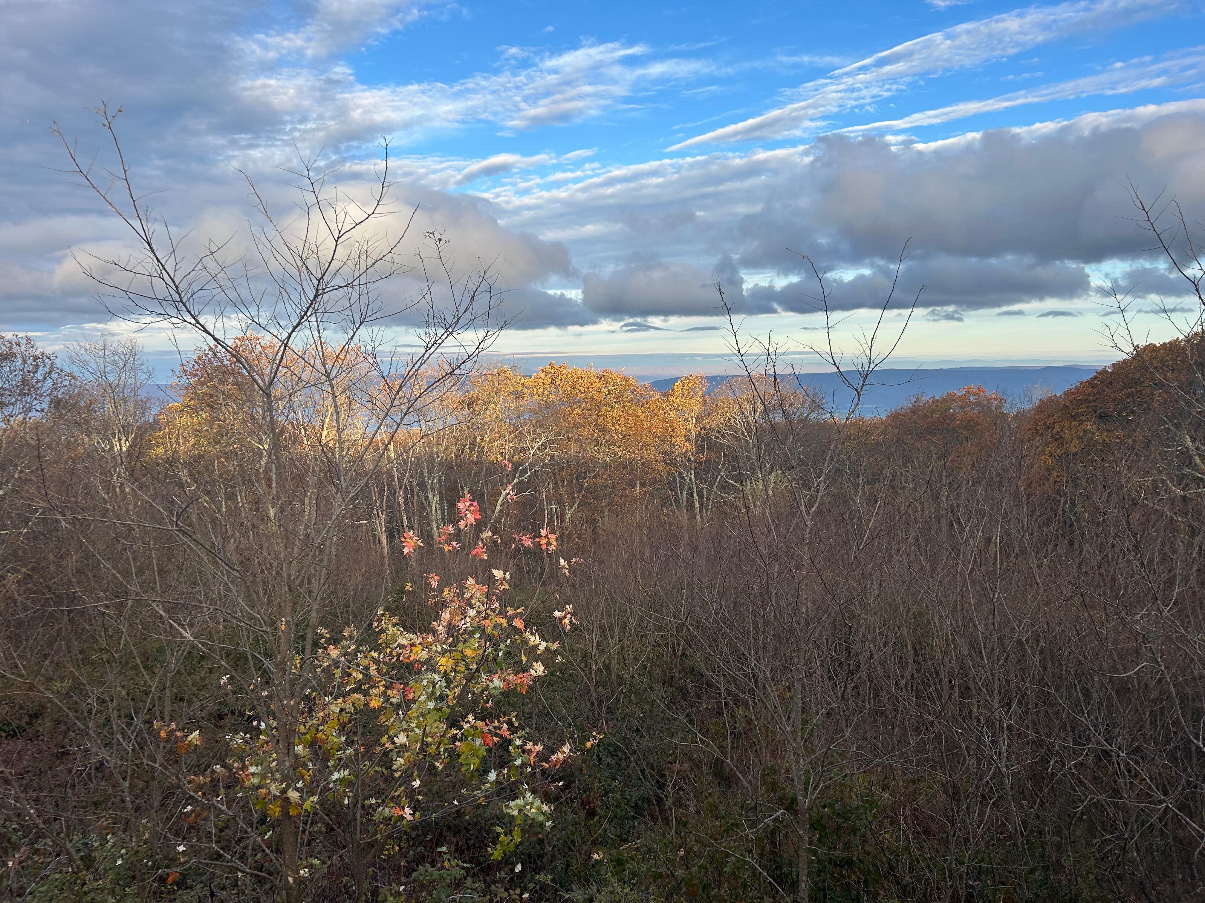 View from our room balcony