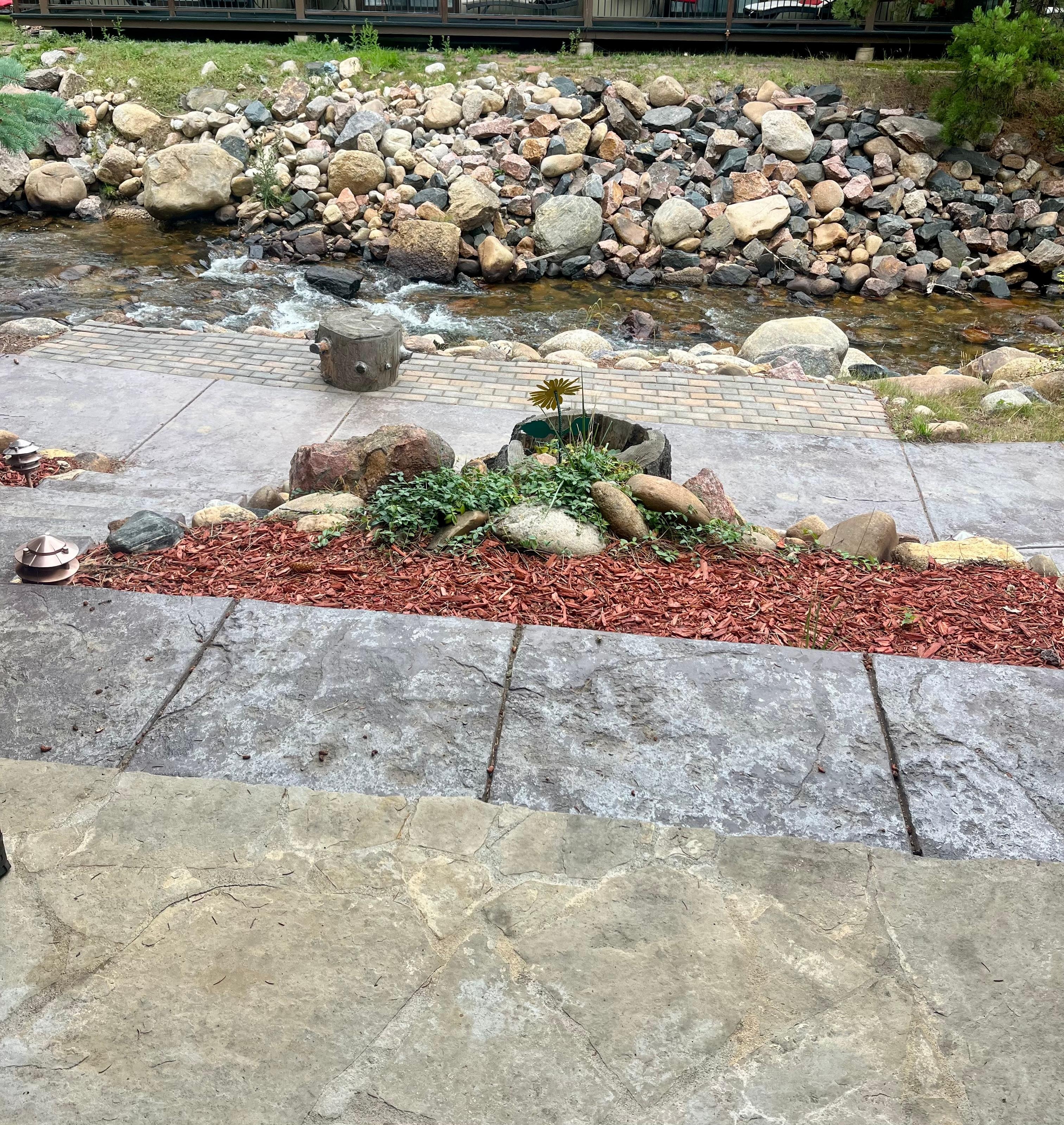 Right outside of our patio 