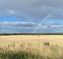 Rainbow over the fields!