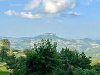 View from terrace