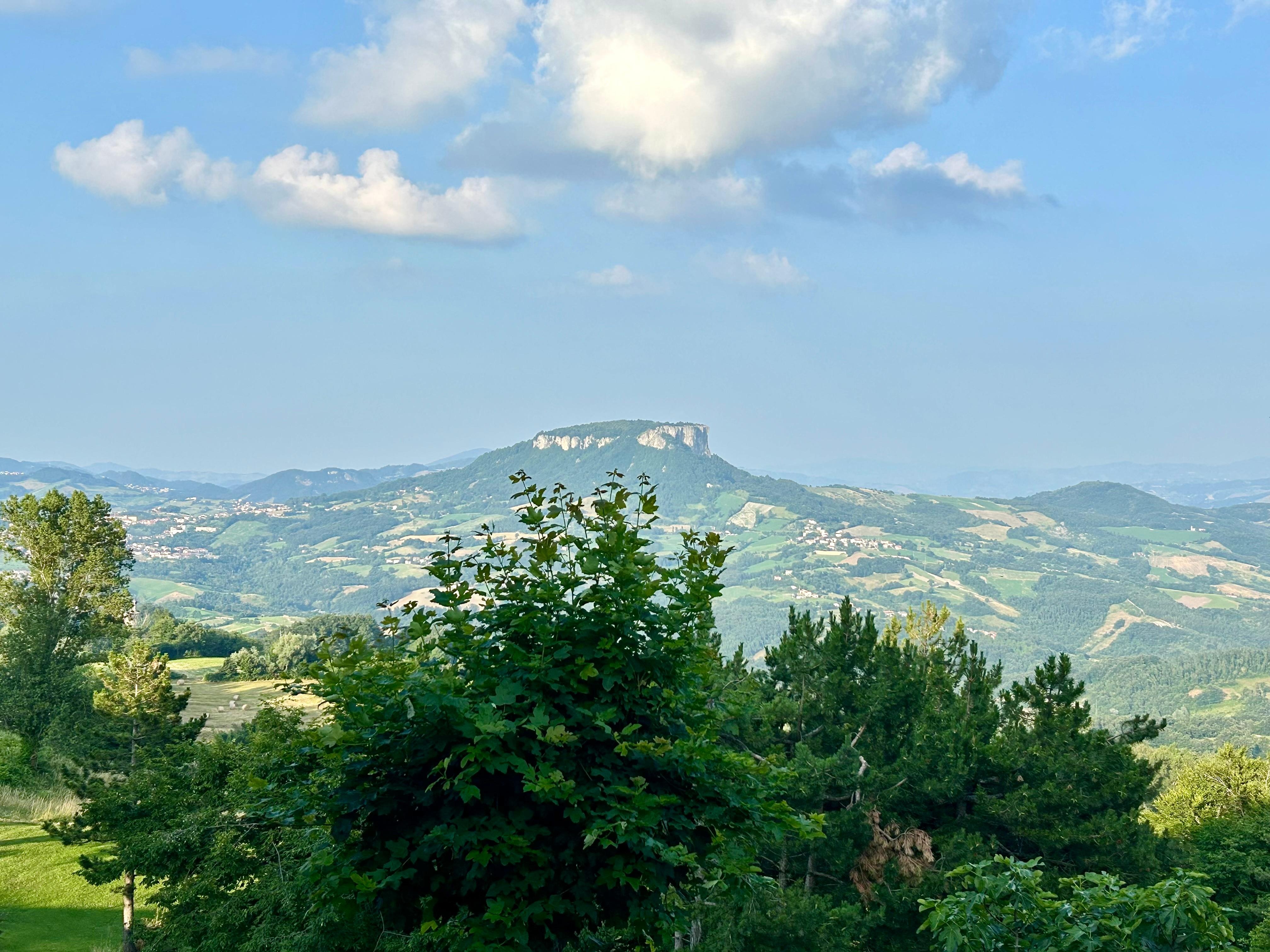 View from terrace