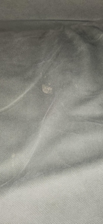 Other something in couch cushion.