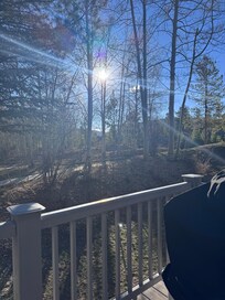 view from deck where hot tub ands bbq are located.