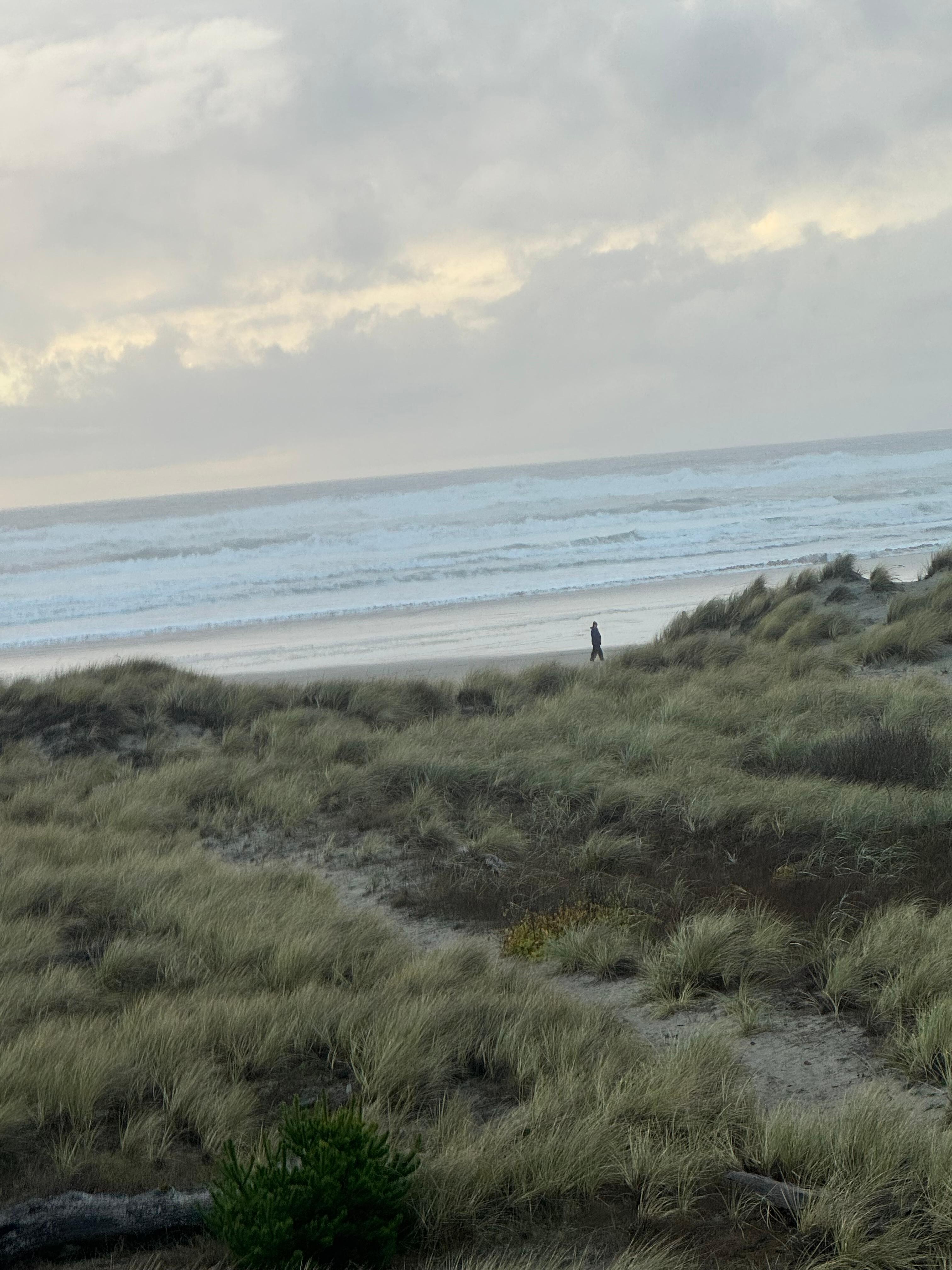 View from the house. 