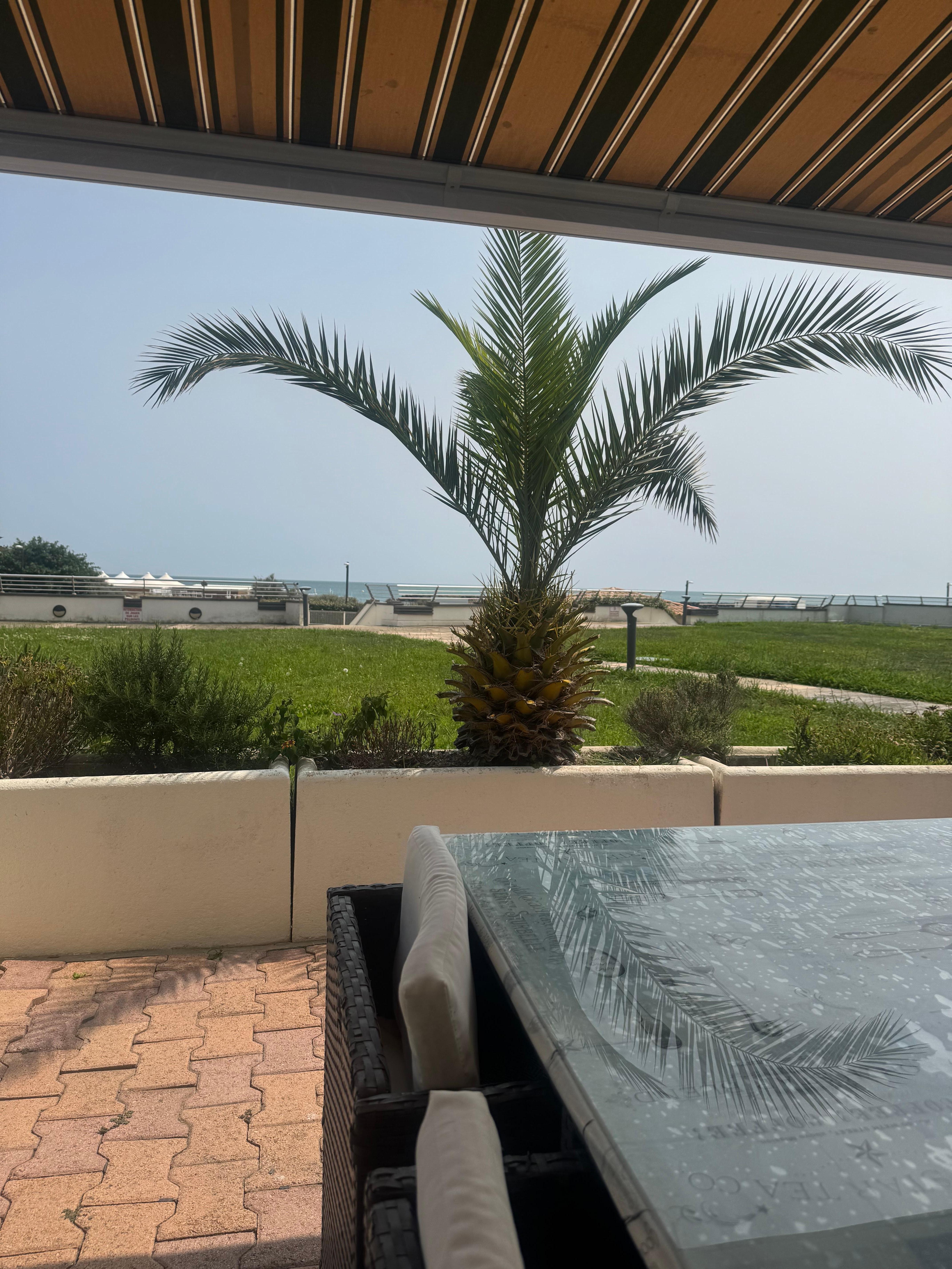 Blick von der Terrasse