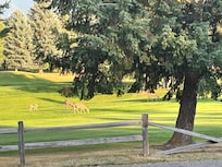 View from deck