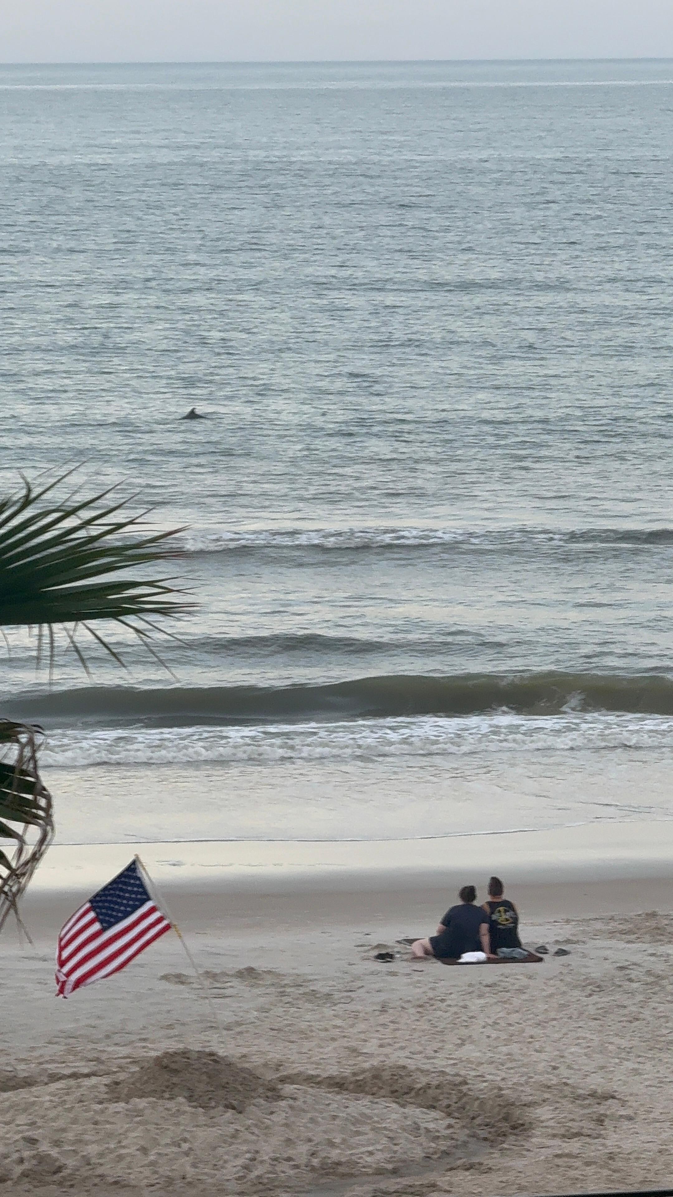 Saw dolphins while we were enjoying the sunset!