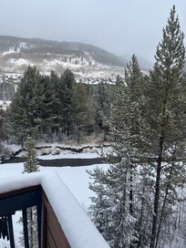 Rear view of Snake River