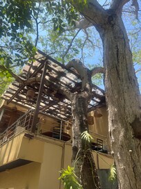 Huichol restaurant