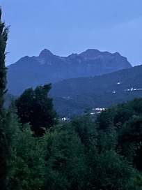 View from the garden