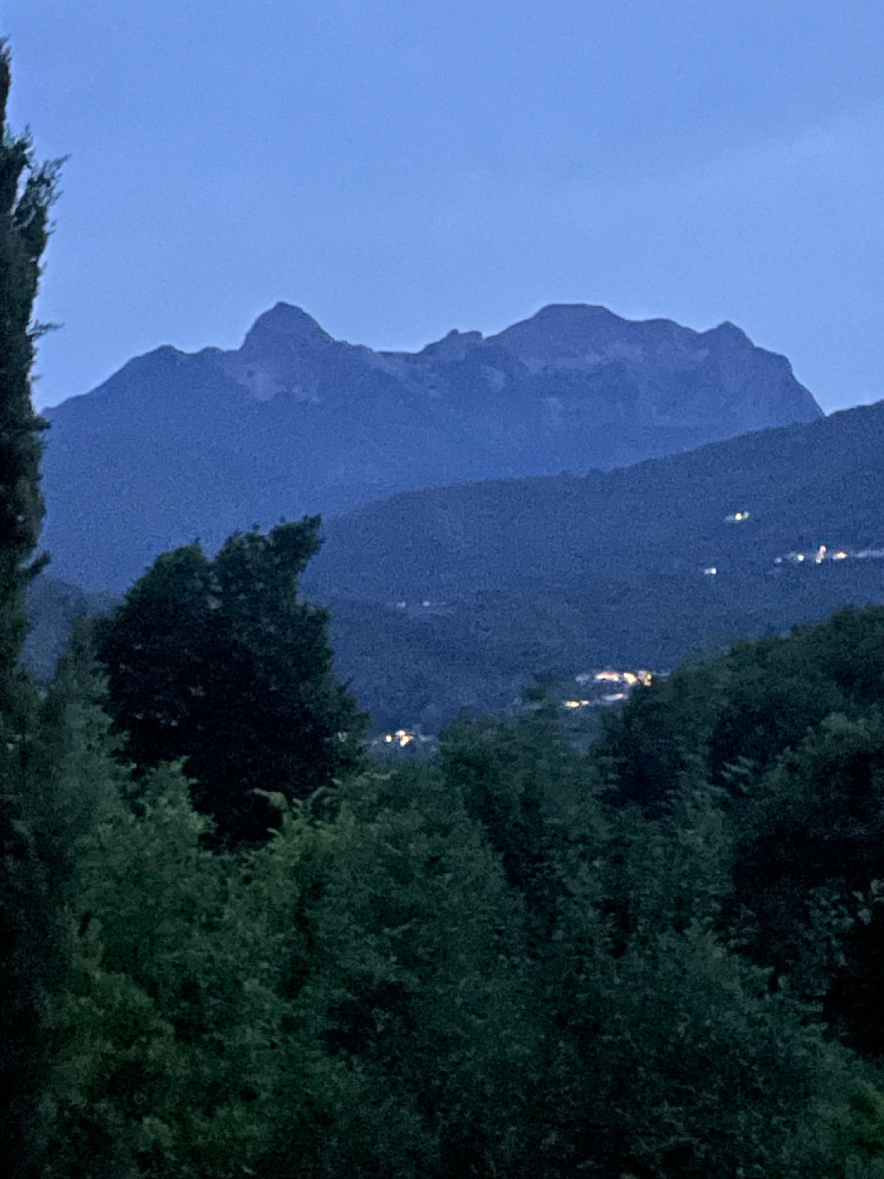 View from the garden