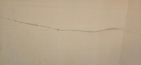 A rather long crack in the shower wall.