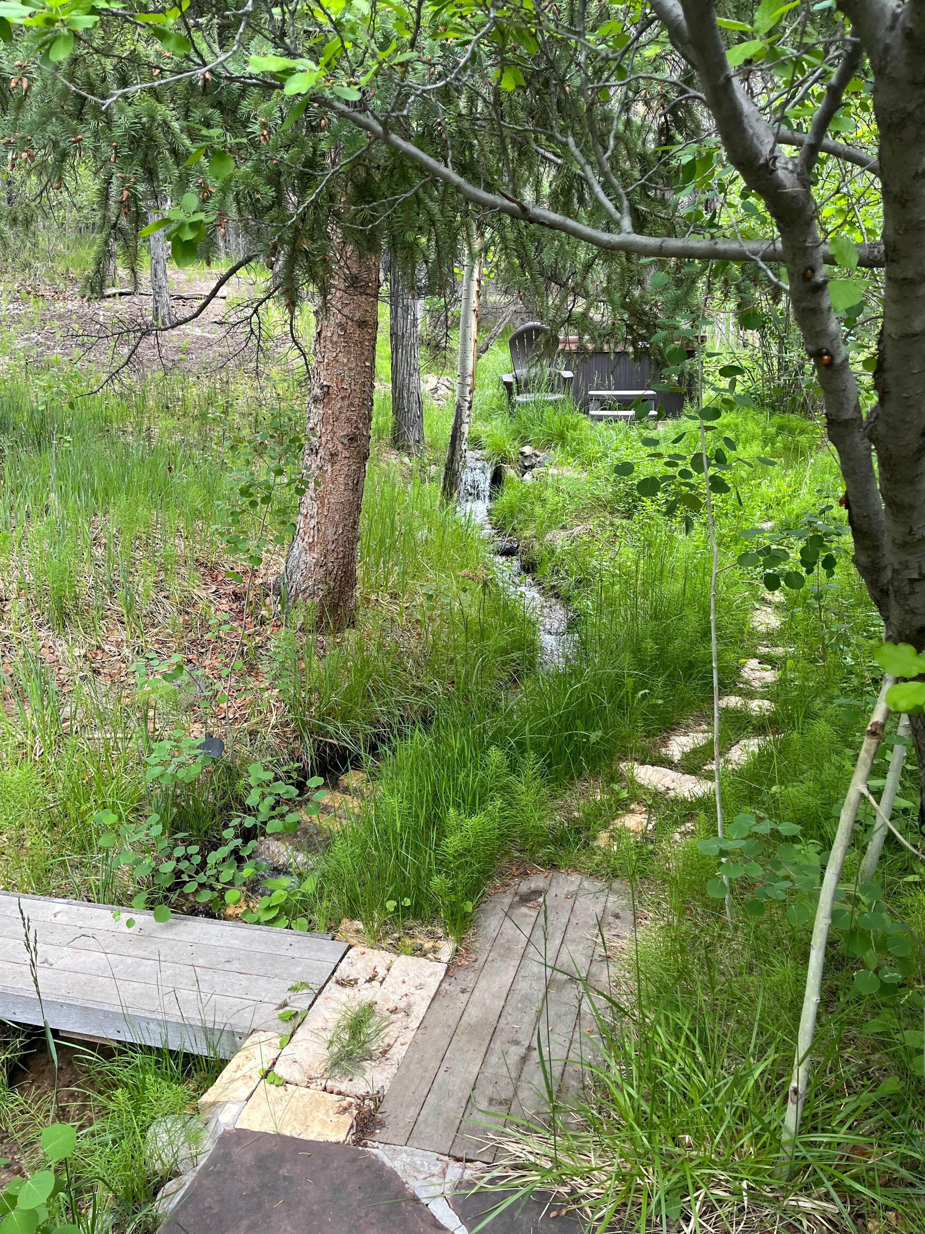 Back yard, lovely calming natural water feature 